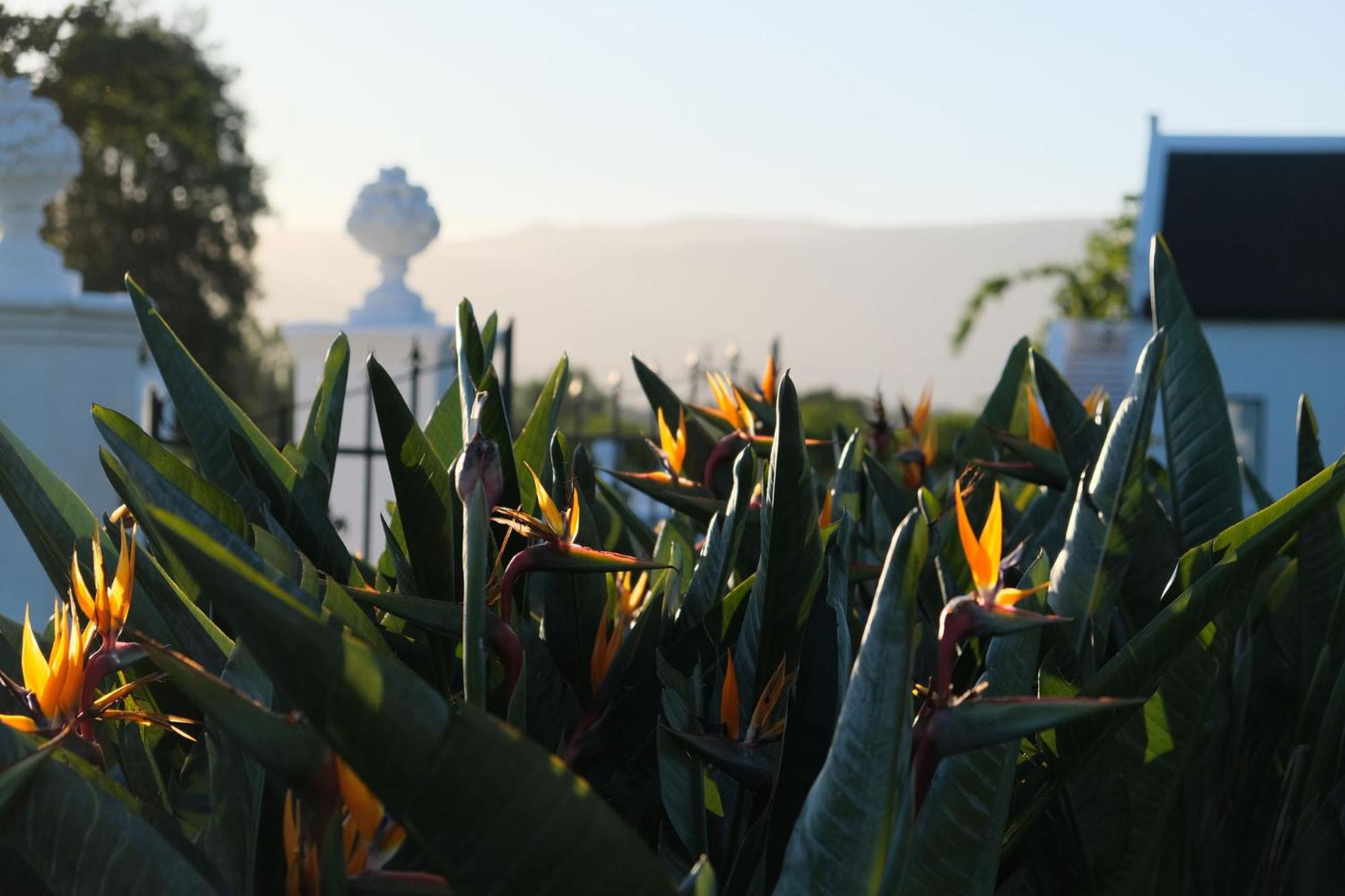 Adara Palmiet Valley Luxurious Boutique Farm Hotel 파를 외부 사진